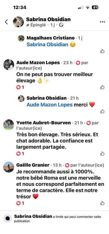 avis chatterie Obsidian cats