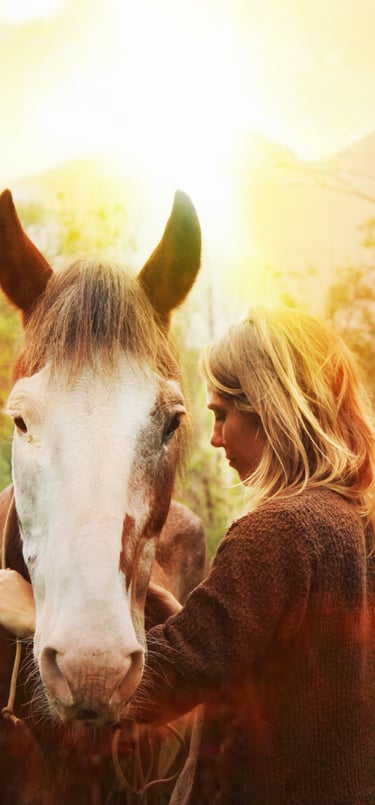 caballos cosmico sanación energética