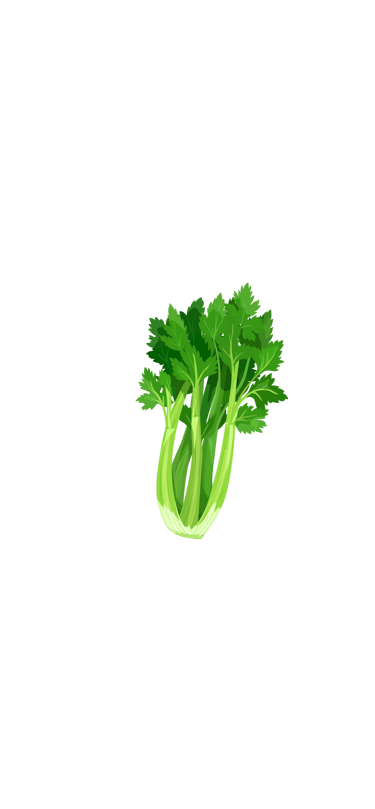a piece of rhubarb