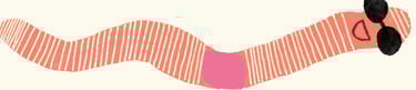 Earthworm wearing sunglasses illustration from Darwin's Super-Pooping Worm Spectacular