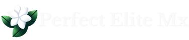 logo horizontal de perfect elite mx con texto