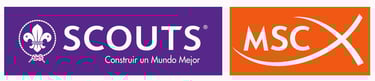 Logo MSC
