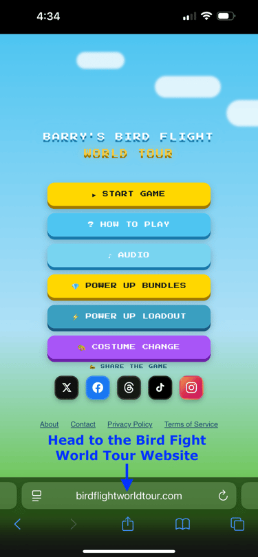 Barry's Bird Flight World Tour pixel art mobile game menu with start and power up buttons.