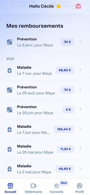 Dalma | 1 mois offert avec le code CECILExMAYA