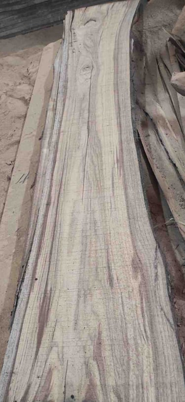 “Rough-cut unfinished teak wood log front view showing natural grains and texture”