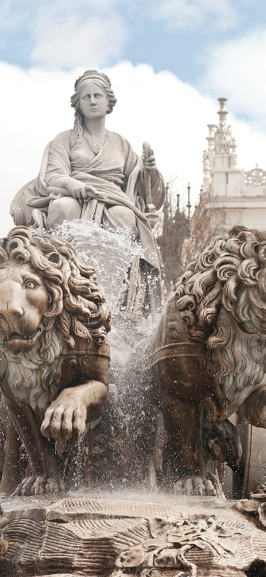 Abogados de Madrid especialistas en recursos de amparo madrid