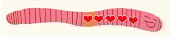 Image of a worm with 5 hearts