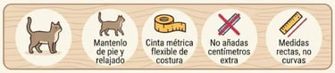 guia para medir un diseño de ropa de perro o gato