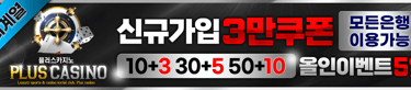 플러스카지노