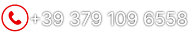 siti web phone number
