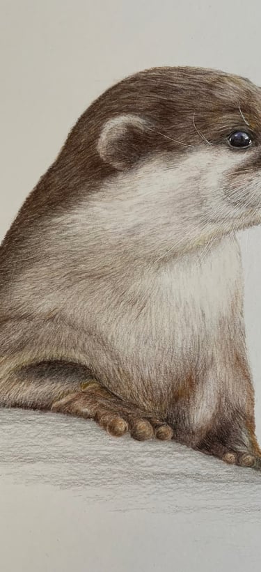 Otter