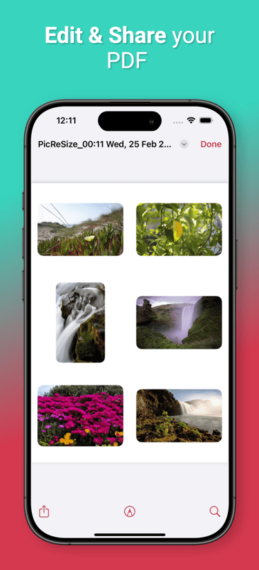 PicReSizer, Edit Share PDF