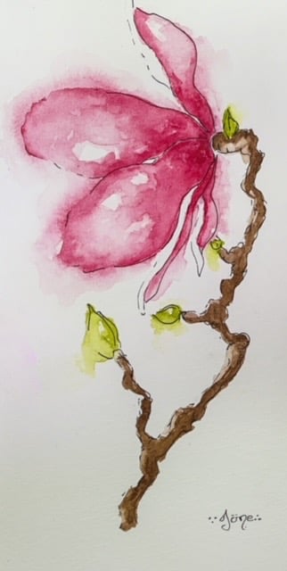 Fleur de magnolia à l’aquarelle