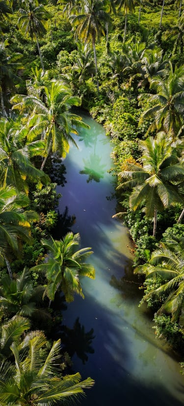 a river with a blue green water and palm trees