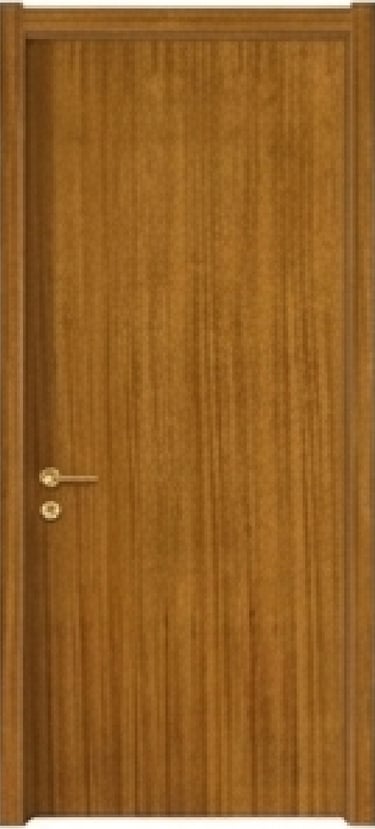 Modern solid wood interior door with vertical grain and gold lever handle.