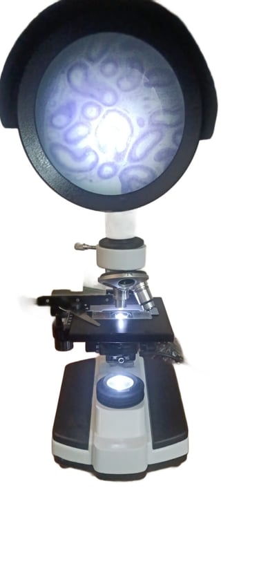 # projaction microscope