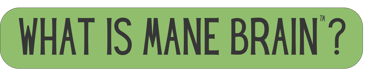 Mane Brain™ offers premium mushroom-based wellness products designed to support focus, memory,.