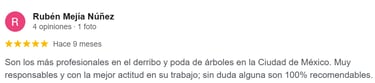 Recomendación del servicio de arboricultura fuentes destacando la responsabilidad y cuidado