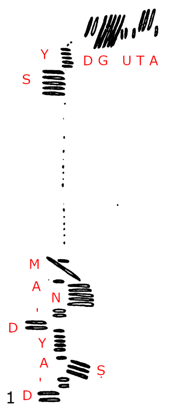 Ballaqueeny 503 Runestone on Isle of Man