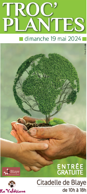 Troc Plantes la Valériane Blaye