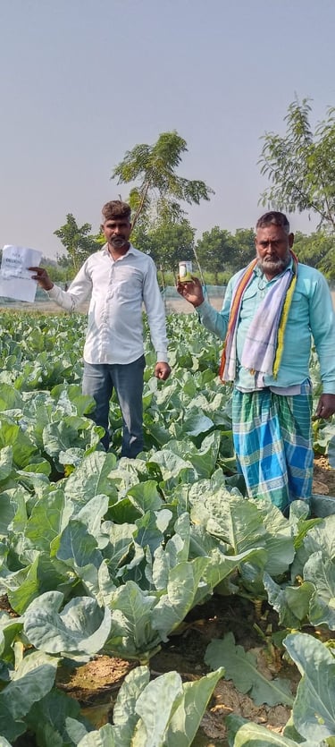 बहराइच यूपी के किसान के हाथ में NXG Delight cauliflower seeds की गुणवत्ता और भरोसेमंद प्रदर्शन