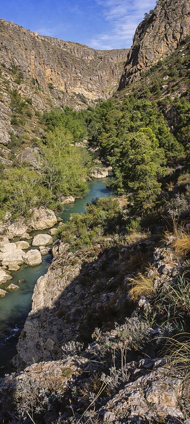 The Segura River as it passes through the Almadenes canyon, between Calasparra and Cieza.