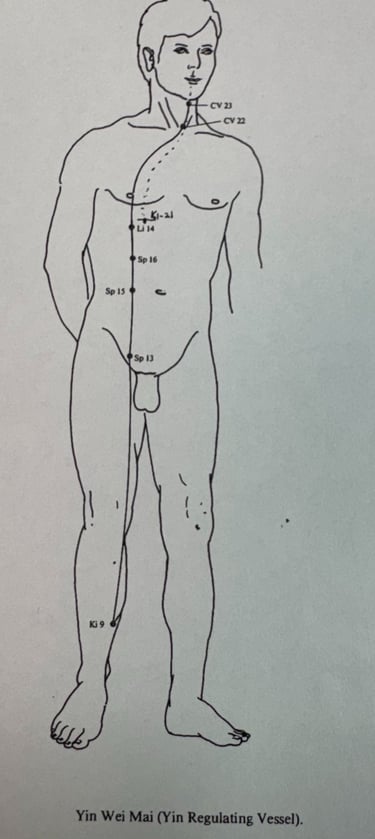 Yin Wei Mai (Yin Regulating Vessel): continuity of our inner story and emotional life.