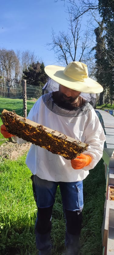 Gian Luca vestito da apicoltore che osserva un telaio.