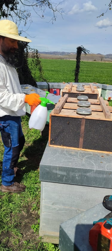 Gian Luca che vaporizza acqua sulle api nei pacchi d'ape con la tuta dell'apicoltore e la maschera
