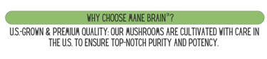 Mane Brain™ offers premium mushroom-based wellness products designed to support focus, memory,.