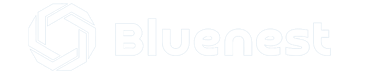 Bluenest – Salesforce-certified consultants delivering customized Salesforce solutions