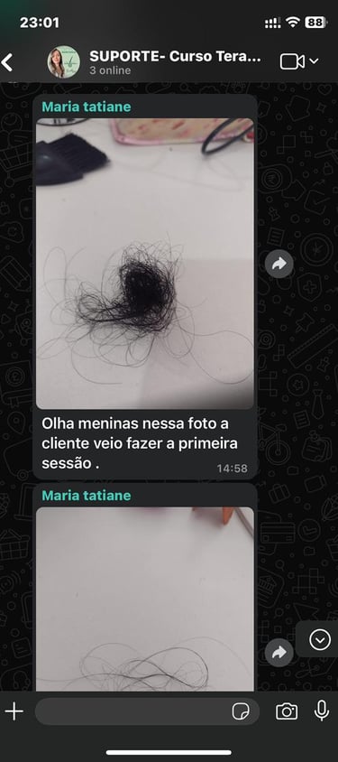 CURSO DE TERAPIA CAPILAR 