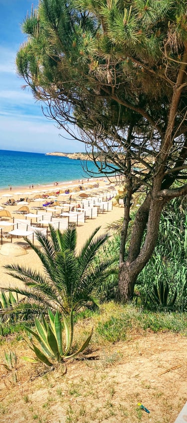 heerlijke ligbedden strand albufeira
