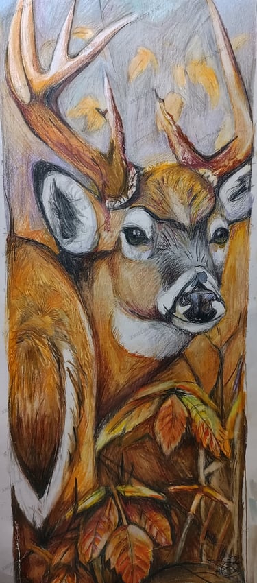 Original deer Coloured pencil drawing.  Deer in autumn artwork by the artist Angelina.N ArtNess. Young artist. 