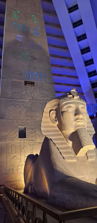 Finn's Footprints Las Vegas Nevada Budget Travel Review