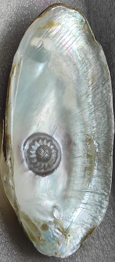 "Side view of 11mm white cultured pearl with radiant sun design–using nucleus technique-For global distribution"