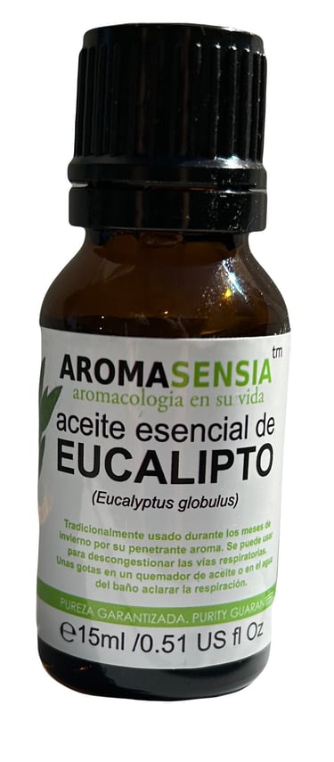 eucalipto