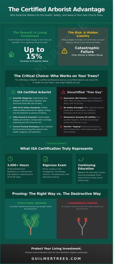 Infographic on why hiring a certified arborist in Falls Church, VA matters for professional tree care and safety.