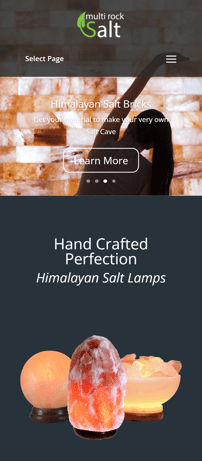 website template of salt company by softlogics