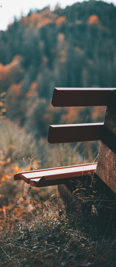 Holzbank in der Natur mit unscharfen Bäumen im Hintergrund im Herbst.