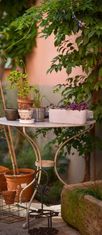 exterieur gite ribeauville zum harzala