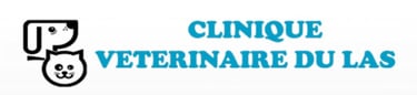 logo lettres turquoises et dessin têtes chien chat  de la clinique vétérinaire du Las à Toulon 83200
