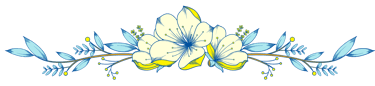 Thu moi dang ky du thi Olympic IMO IEO ICSO ICO