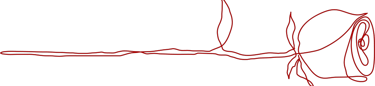 Allure Dance Studios rose outline red