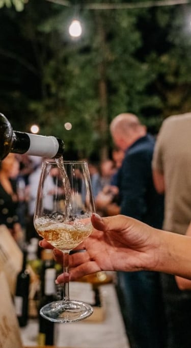 wine-fest-blaz-herzegovina