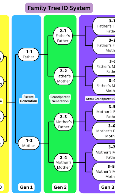 A diagram showing four generations of a family from children to great grandparents. 