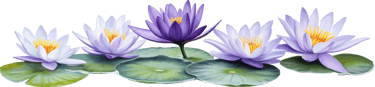 patcha-vienna-thaimassage