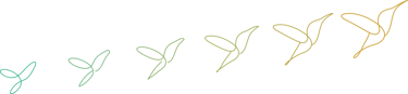 représentation graphique de l'évolution d'un projet, par l'envol du colibri