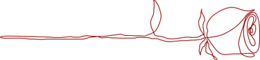 Allure Dance Studios rose outline red