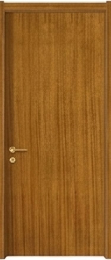 Modern solid wood interior door with vertical grain and gold lever handle.